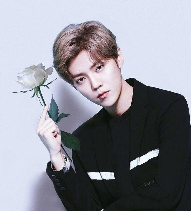 Lu Han